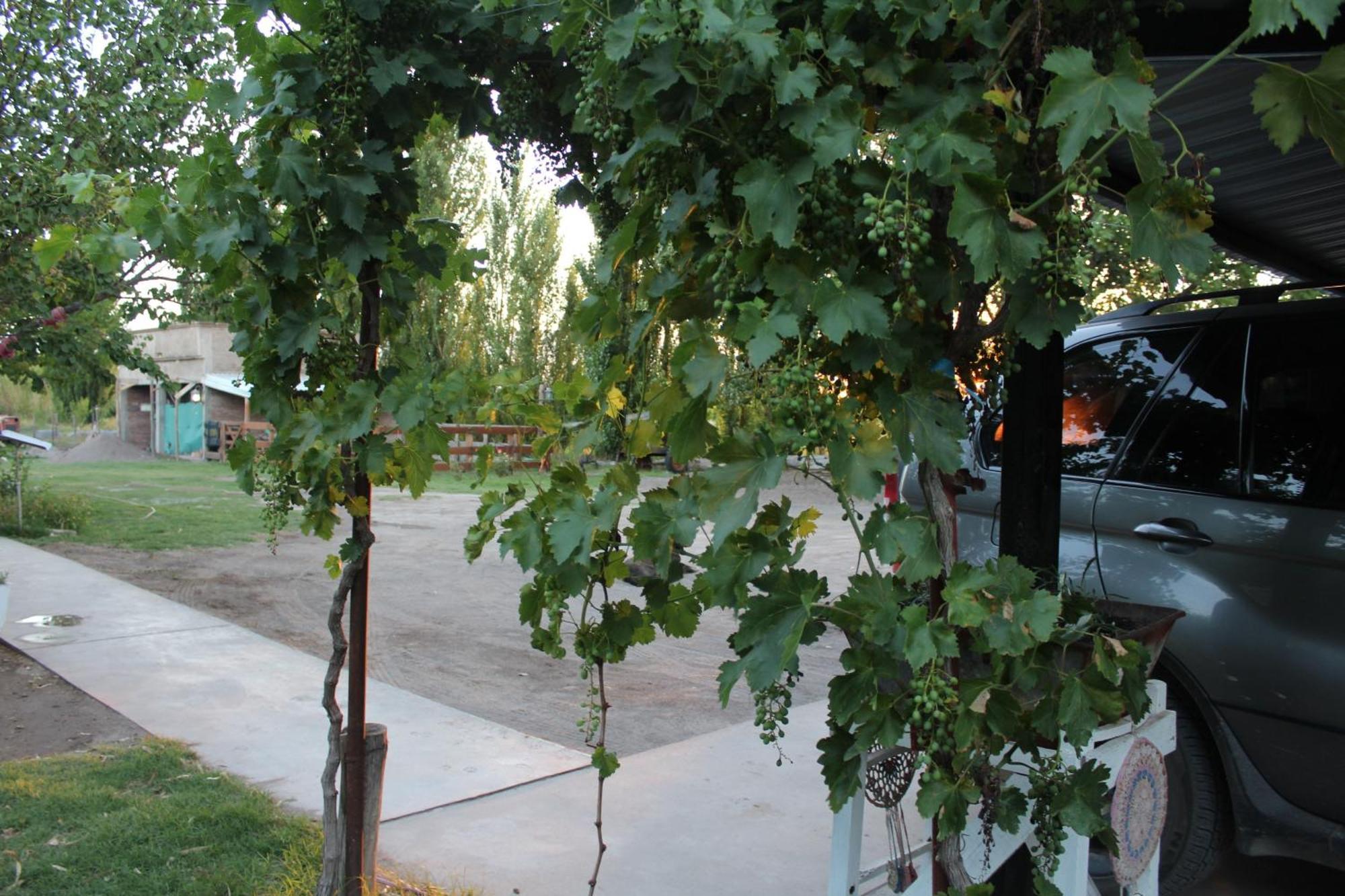 Finca La Celestita Colonia Alvear 외부 사진